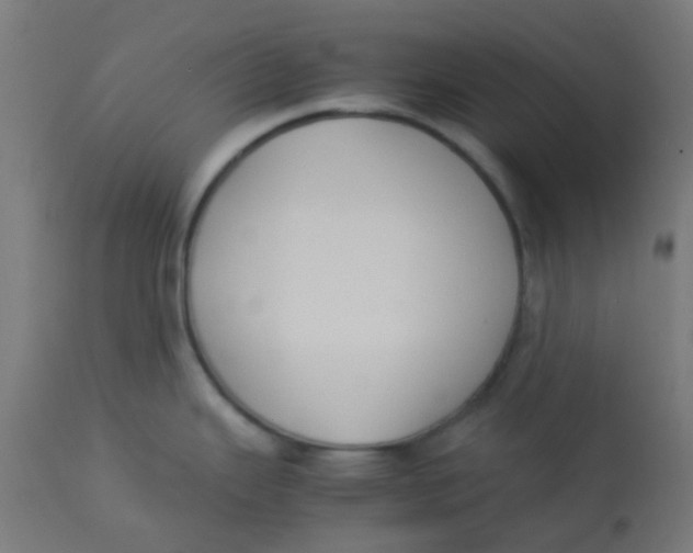 X0000113221343200910081332