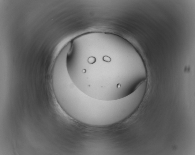 X0000113221344200910081332