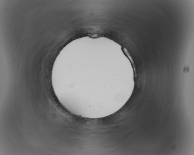 X0000113221345200910081331