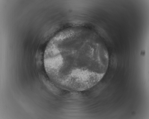X0000113221346200910081331