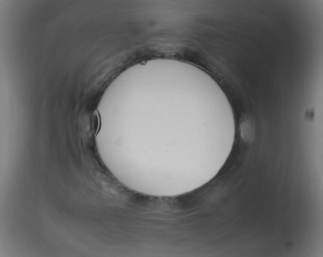 X0000113221347200910081331