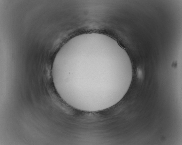 X0000113221348200910081331