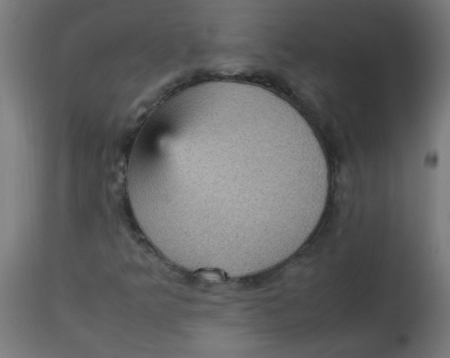 X0000113221349200910081331