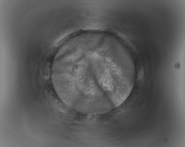 X0000113221350200910081331