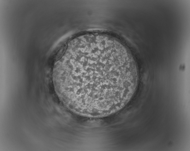 X0000113221351200910081331