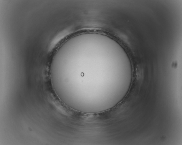 X0000113221352200910081331