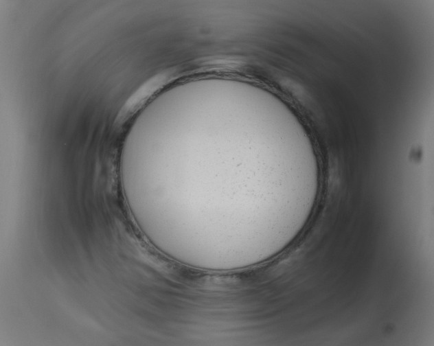 X0000113221354200910081331