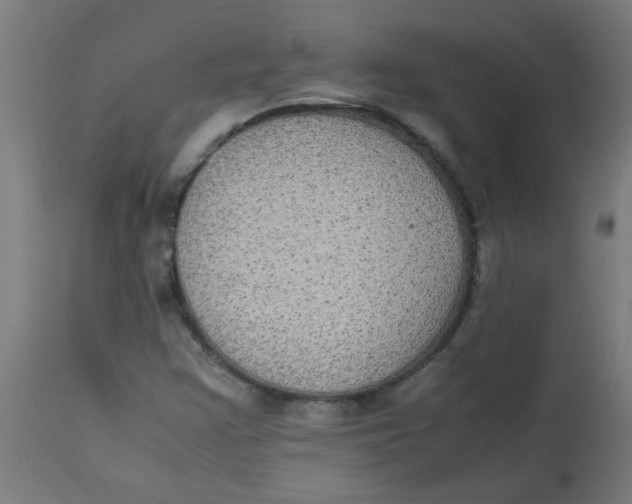 X0000113221355200910081331