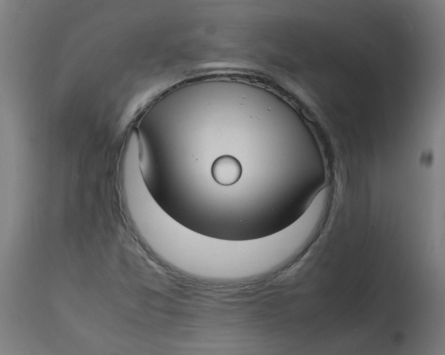 X0000113221357200910081331