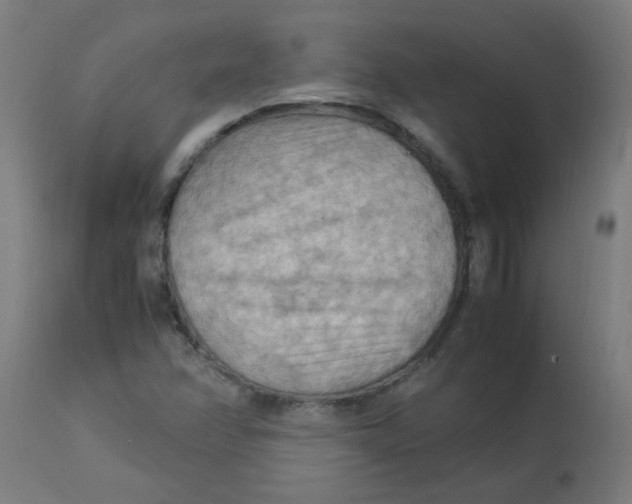 X0000113221358200910081331