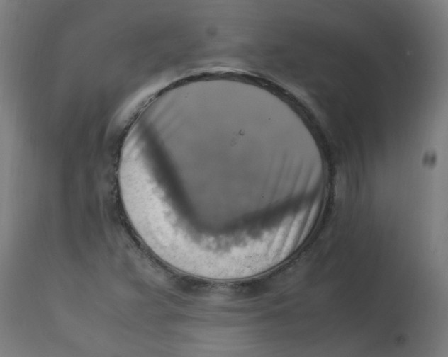 X0000113221359200910081331