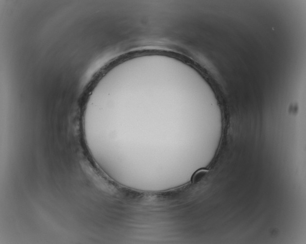 X0000113221360200910081331