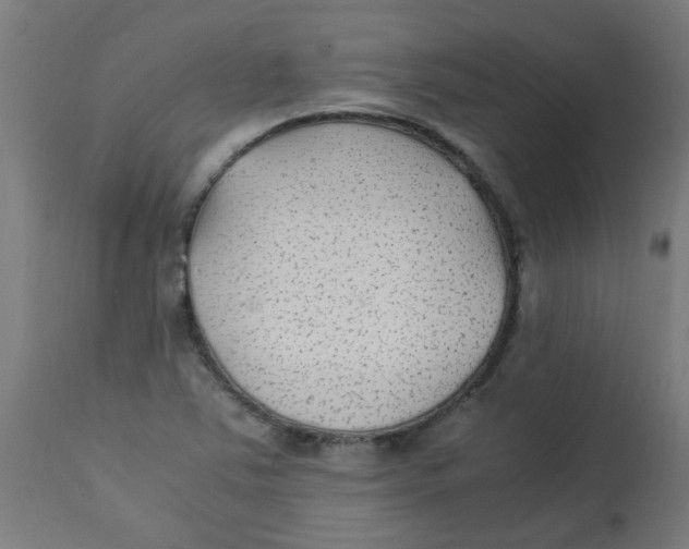 X0000113221363200910081331