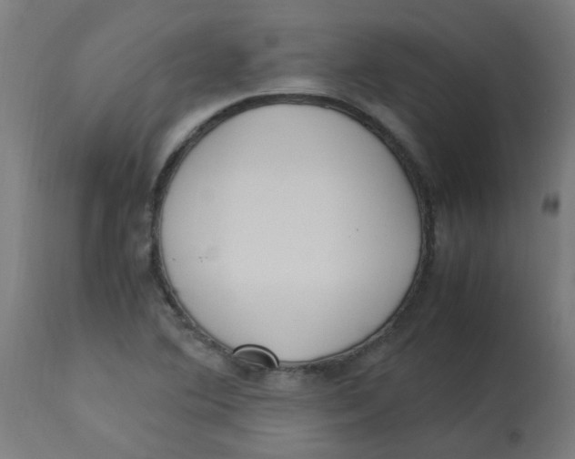 X0000113221364200910081331