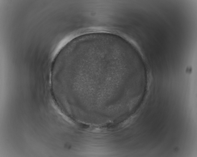 X0000113221365200910081331