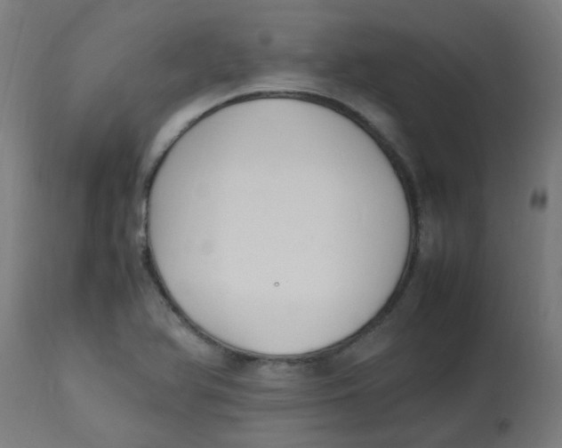 X0000113221366200910081331