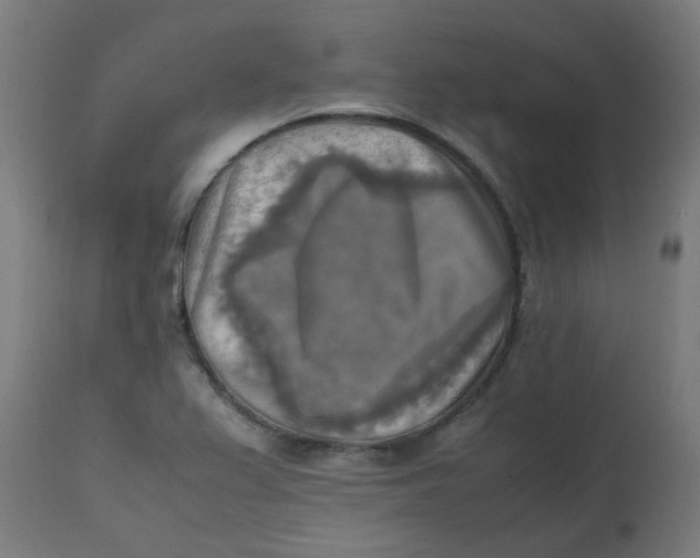 X0000113221367200910081331