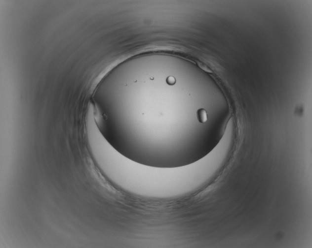 X0000113221369200910081331