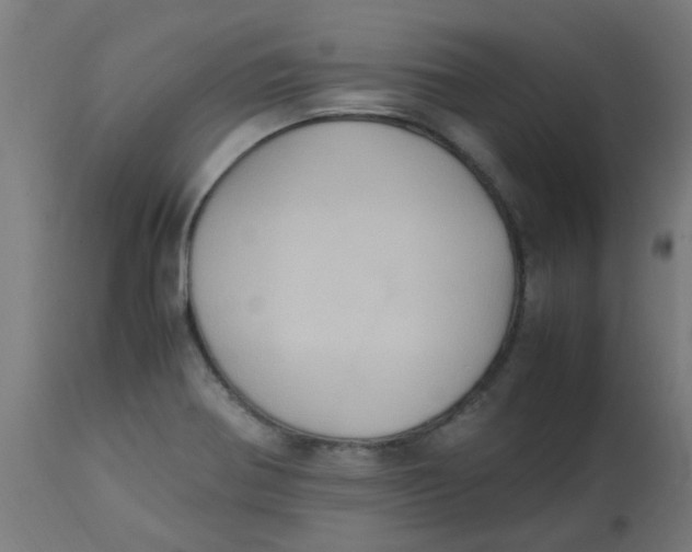 X0000113221370200910081331