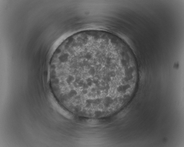 X0000113221371200910081331