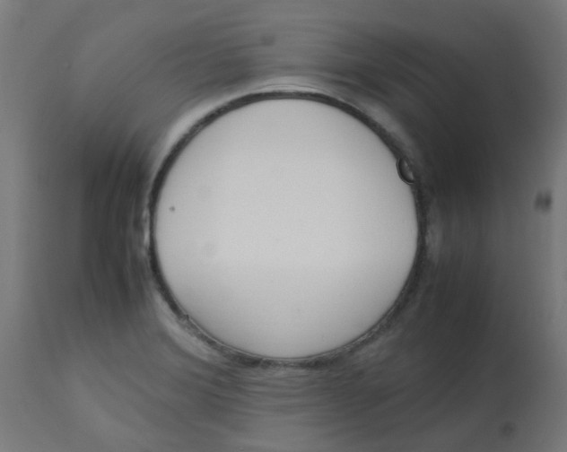 X0000113221372200910081331