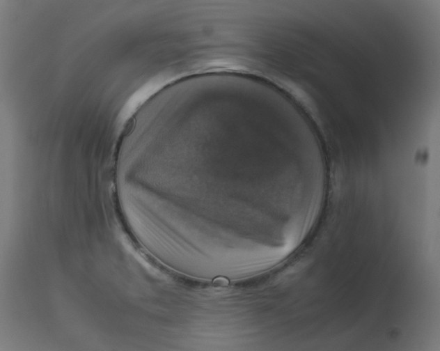 X0000113221373200910081331