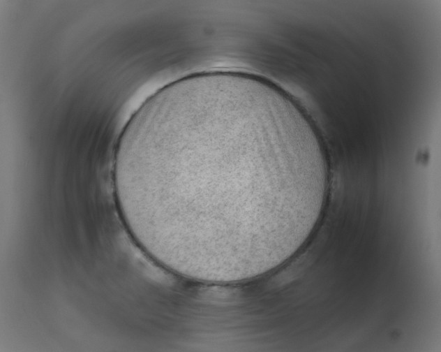 X0000113221374200910081331