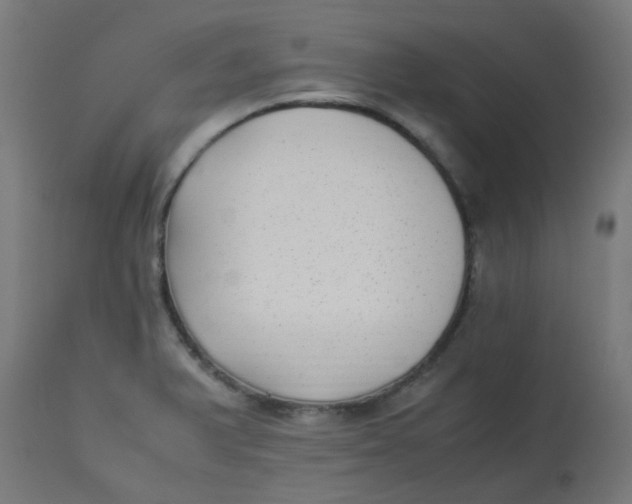 X0000113221375200910081331