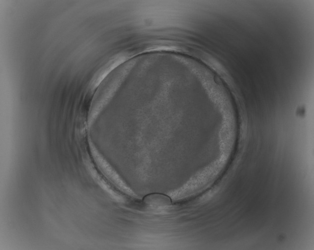 X0000113221377200910081330