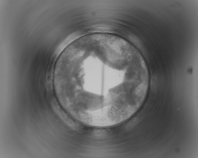 X0000113221378200910081330