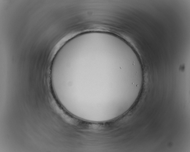 X0000113221379200910081330