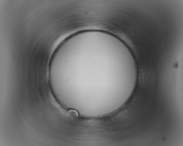 X0000113221380200910081330