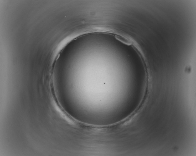 X0000113221381200910081330