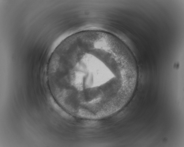 X0000113221382200910081330