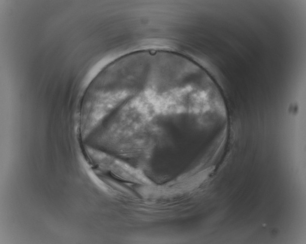 X0000113221383200910081330