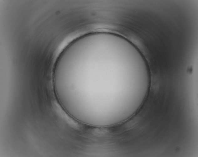 X0000113221384200910081330