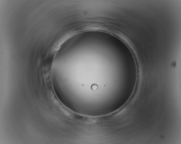 X0000113221385200910081330