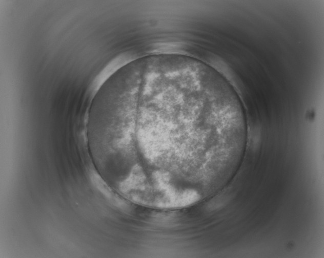 X0000113221386200910081330