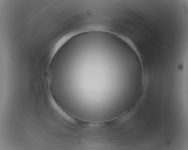 X0000113221389200910081330