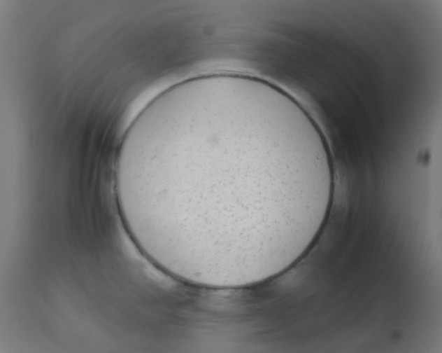X0000113221390200910081330