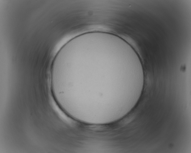 X0000113221391200910081330