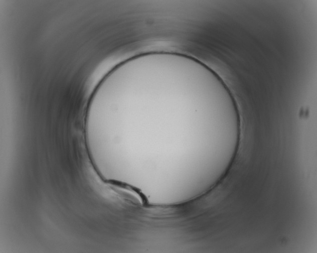 X0000113221392200910081330