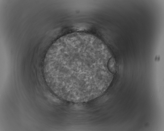 X0000113221393200910081330