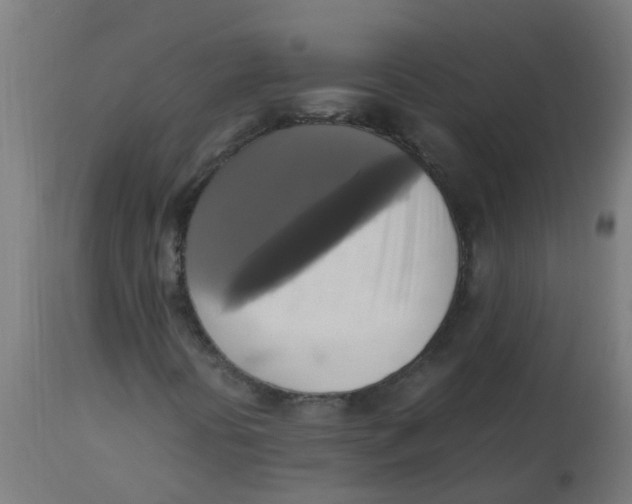 X0000113221394200910081330