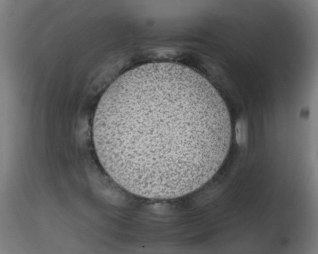 X0000113221395200910081330