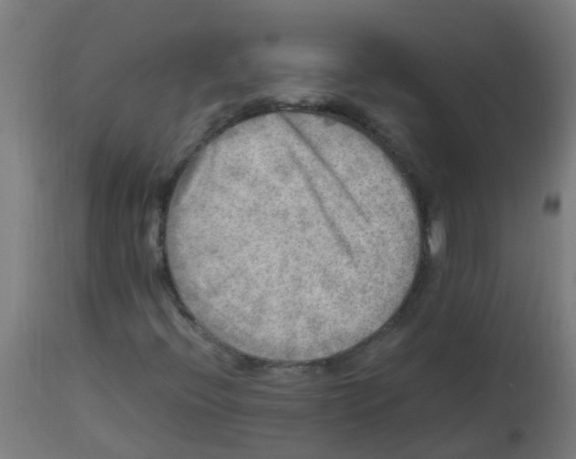 X0000113221396200910081330