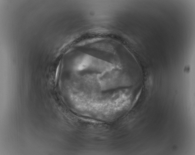 X0000113221397200910081330