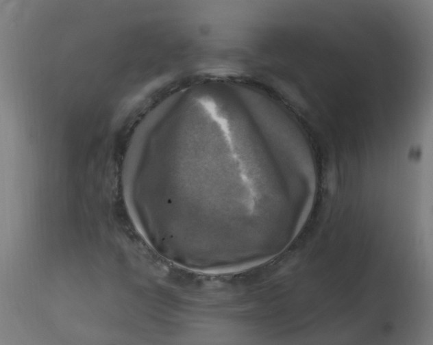 X0000113221398200910081330