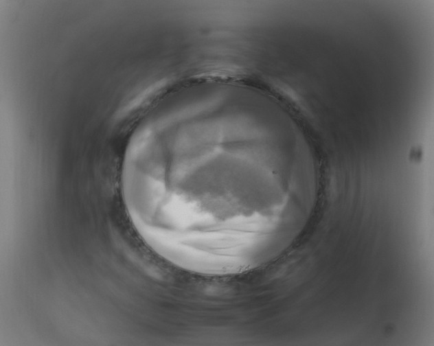 X0000113221399200910081330