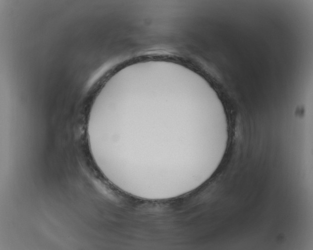 X0000113221400200910081330